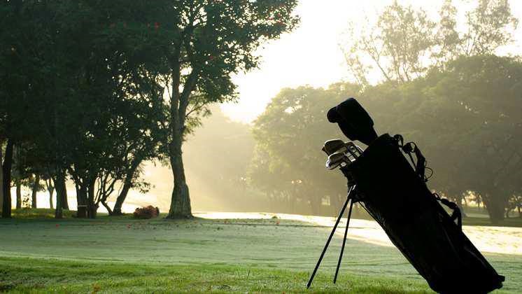 LnT Green Reserve (10)